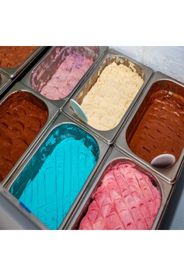 Conservateur Glace Haut de Gamme