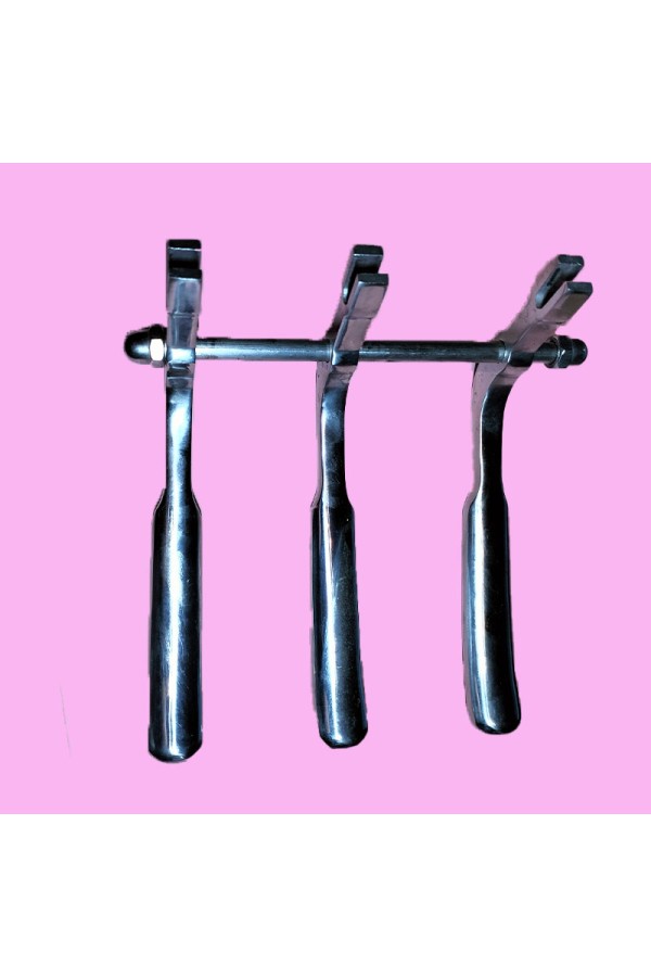 Bâtons pour barbe à papa