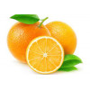 parfum Orange - Le marchand de glace